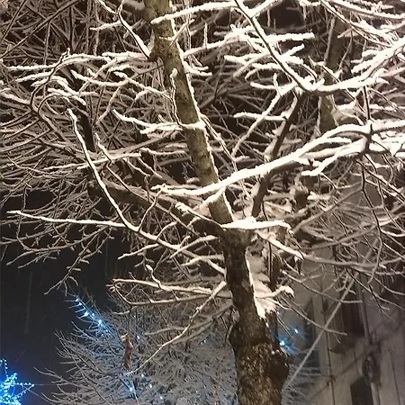 La Dodicesima Notte